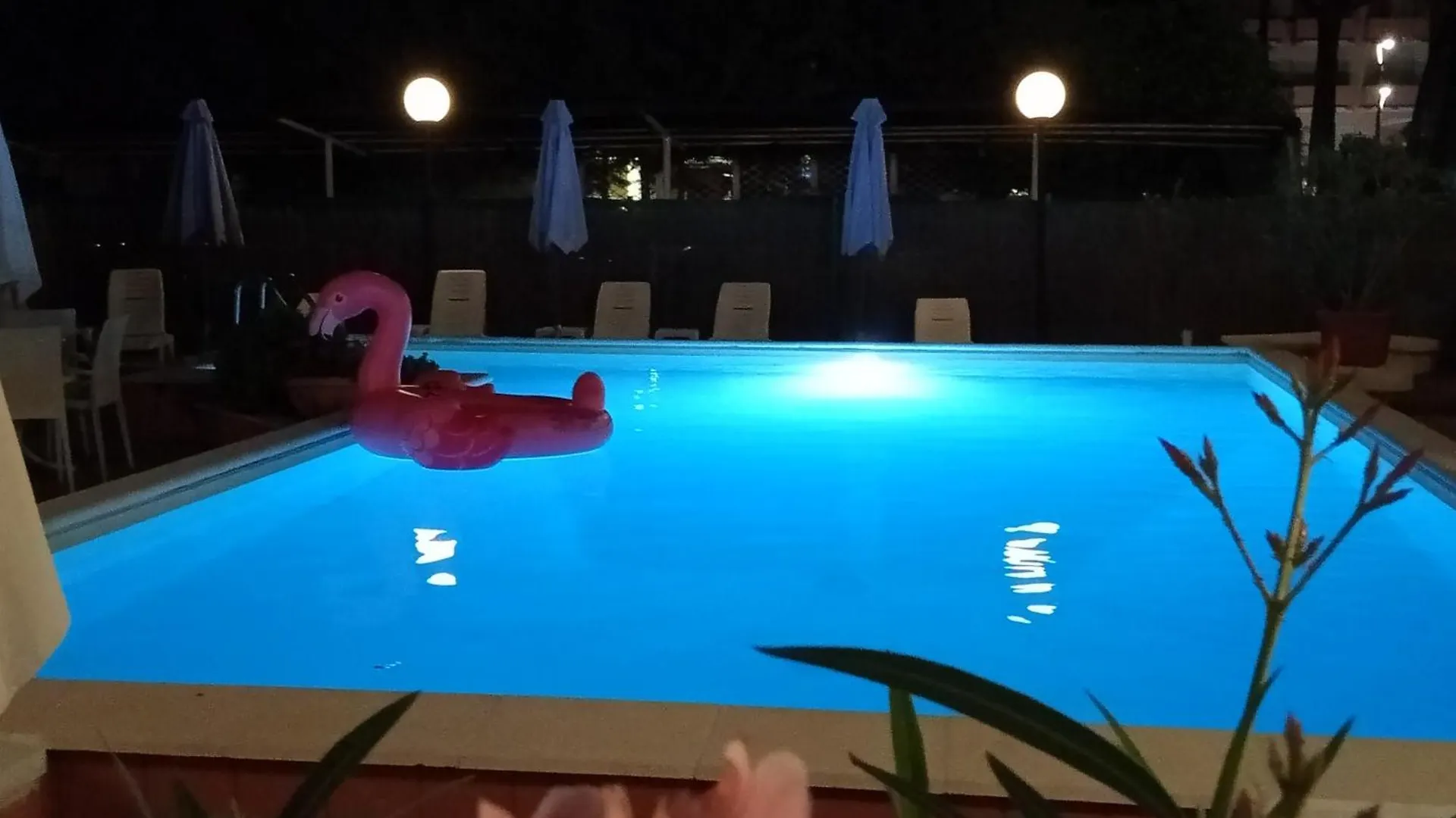 Hotel Ridolfi Milano Marittima